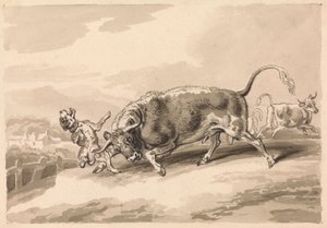 Bull Attacking Mastiff av Samuel Howitt