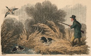 Ankskytte, 1810. av Samuel Howitt