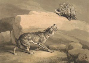 Fox and the Hedgehog (Pinvarg) av Samuel Howitt