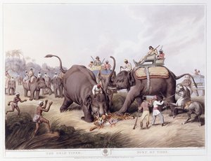 Den döda tigern; Mort du tigre, 1807