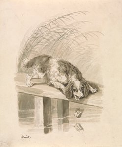 Hunden och skuggan av Samuel Howitt