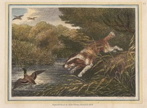 Vattenspanieln av Samuel Howitt