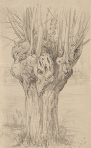 Knotiga träd, 1884 (grafit på gulfärgat papper)