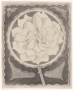 Roos av Samuel Jessurun de Mesquita (signed by artist)