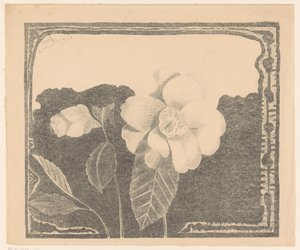 Camellia, till vänster en blomma i knopp av Samuel Jessurun de Mesquita