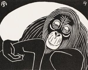 Orangutang