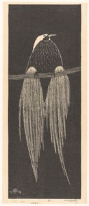 Bird of Paradise (originaltitel) av Samuel Jessurun de Mesquita
