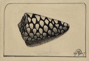 Shell, till höger av Samuel Jessurun de Mesquita