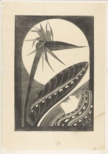 Blekt strelitzia av Samuel Jessurun de Mesquita