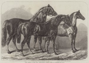 Prishästar på Royal Agricultural Society