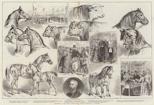 Skisser vid Royal Agricultural Society