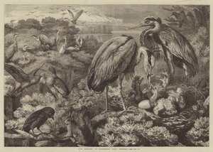 Heronry i Didlington Park, Norfolk av Samuel John Carter