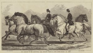 Hästshowen i Agricultural Hall, Islington, parad med prishästar, travhästar och hästar med hästar som är prisbelönta av Samuel John Carter