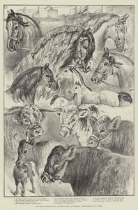 Royal Agricultural Society