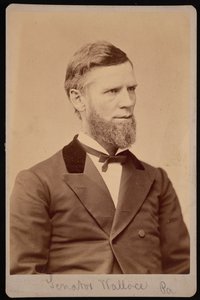Porträtt av William Andrew Wallace 1827-1896, mellan 1876 och 1880.