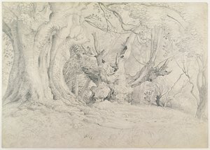Ancient Trees, Lullingstone Park, 1828 (grafit på papper) av Samuel Palmer