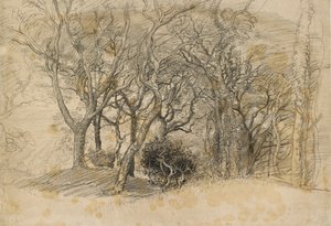 Study of Trees, Clovelly Park, 1834 av Samuel Palmer