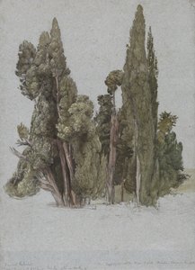 Cypresserna i Villa d
