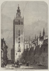 En gata i Sevilla, Spanien, Giralda