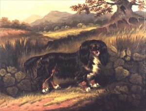 King Charles Spaniel "Fuss" i ett landskap