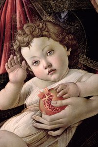 Detalj av Kristusbarnet från Madonnan av Granatäppletempera på panel se 44340 av Sandro Botticelli
