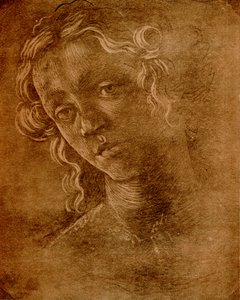 Kvinnligt huvud av Sandro Botticelli