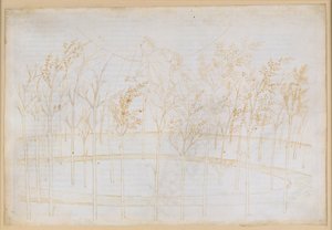La Divina Commedia, Paradiso I: Uppstigningen till eldhimlen. Beatrice förklarar för Dante hur universum fungerar av Sandro Botticelli