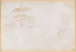 La Divina Commedia, Purgatorio XXII: Uppstigningen till den sjätte ringen i skärselden; samtal med Statius; de frossarnas botgöring av Sandro Botticelli