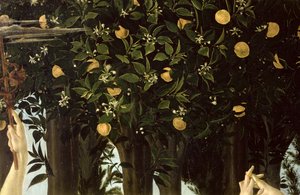 Primavera, detalj av apelsinträdet, c.1478 tempera på panel av Sandro Botticelli