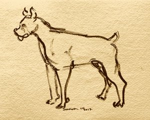 Skiss av en boxerhund av Santhosh ch
