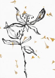 Skir blomsterskiss av Santhosh ch