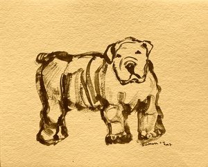 Uttrycksfull bulldoggskiss av Santhosh ch