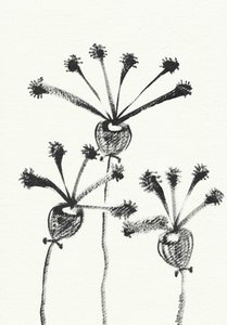 Minimalistisk botanisk teckning av Santhosh ch