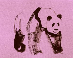 Penseldrag av en rosa panda av Santhosh ch