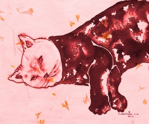 Den sovande röda katten av Santhosh ch