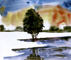 Solnedgång – trädets spegelbild
