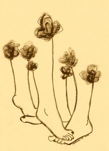 Nyckfulla fotblommor av Santhosh ch