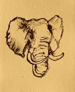 Skiss av vild elefant av Santhosh ch