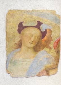 Ung man (fresk) av Sanzio of Urbino (attr. to) Raphael