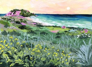 Solnedgång vid Wild Coast av Sarah Gesek