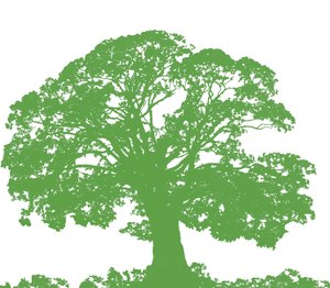 Climbing Tree, 2009 (digitalt) av Sarah Hough