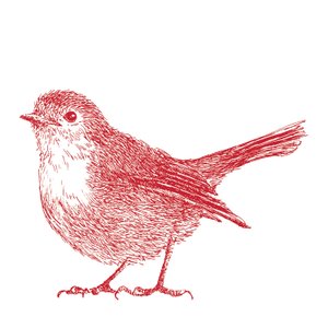 Robin, 2017 av Sarah Hough