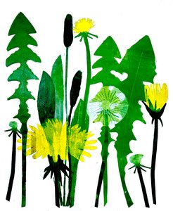 Löwenzahn, 2024 von Sarah Thompson-Engels