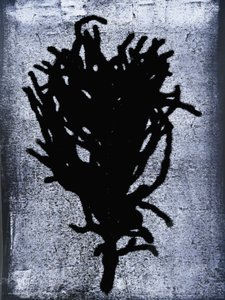 Black fern 2020 (monoprint) av Sarah Thompson-Engels
