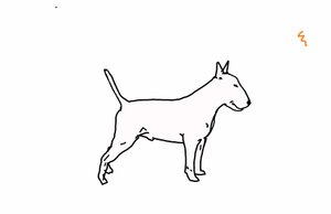 Bull terrier, 2018, (digital teckning) av Sarah Thompson Engels
