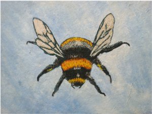 Bumblebee, 2015 (pastell och akvareller) av Sarah Thompson Engels