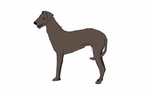 Hound, 2018, (digital teckning) av Sarah Thompson-Engels