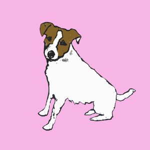 Jack Russell, 2014 av Sarah Thompson-Engels