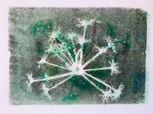 Seedhead I,2020,(monoprint) av Sarah Thompson-Engels