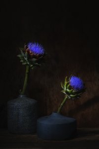  av Saskia Dingemans